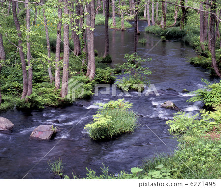 長瀨河的流動 長瀨河的流動 6271495
