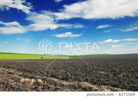 arable land 6271569