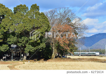 鐵路三入主線京都口千代江〜八木新年新月森林神社287系列限速快車 6271614