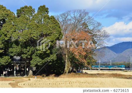 鐵路三在主線京都口Chiyokogawa~八木新年新月形森林神社KTR限量快遞 6271615