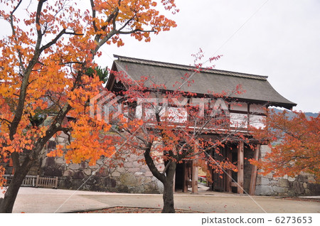 Matsushiro Castle Temple 6273653