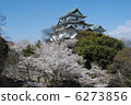 Wakayama castle and cherry blossoms 6273856
