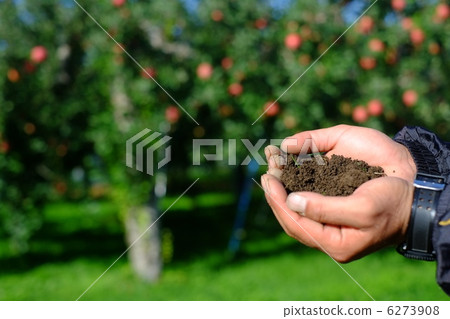 土壤製作圖像(回到蘋果) 土壤製作圖像(回到蘋果) 6273908