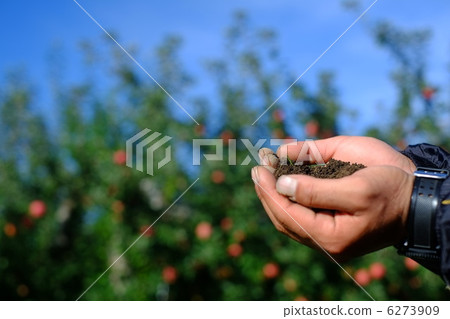 Soil making image (back in the apple) 6273909