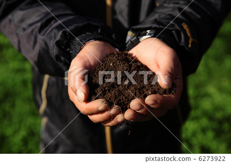 Image of living soil 6273922