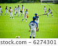Juvenile baseball 6274301