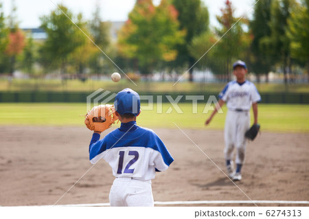 Juvenile baseball Juvenile baseball 6274313