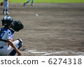 Juvenile baseball 6274318