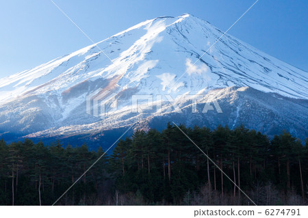 富士河口湖鎮，富士山在河口湖創造的森林裡 6274791