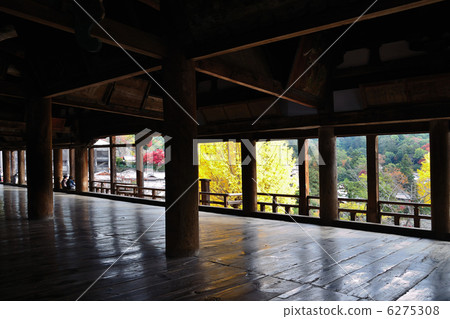 The 1000 calendar and the ginkgo tree The 1000 calendar and the ginkgo tree 6275308