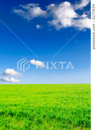 green field 6275634