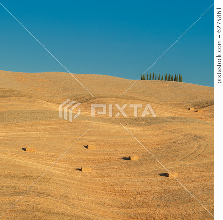 typical tuscan landscape typical tuscan landscape 6275861