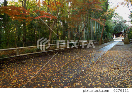 北見冰川神社入口 6276111
