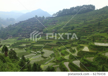 Sogoe Senpo Meguhaigi and rice terraces Sogoe Senpo Meguhaigi and rice terraces 6276438