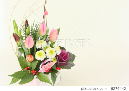 New Year's Spring flowers 6276442