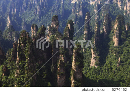 點一般表的視圖 6276462