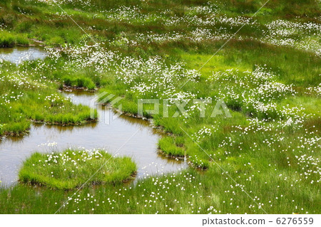 Wataruge moor 6276559