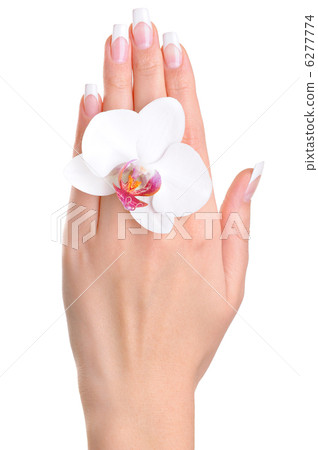 One female hand with flower One female hand with flower 6277774