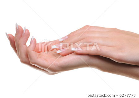 well-groomed female hand well-groomed female hand 6277775