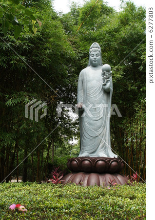 觀音菩薩 6277803
