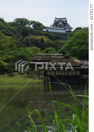 彥根城堡Genkyen 6278177