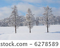 The winter 6278589
