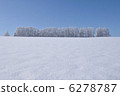 snow          6278787
