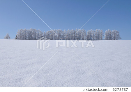 snow          6278787
