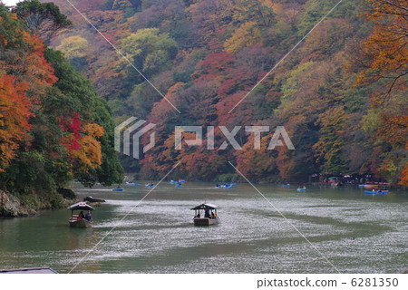 京都，嵐山，秋葉，007 6281350