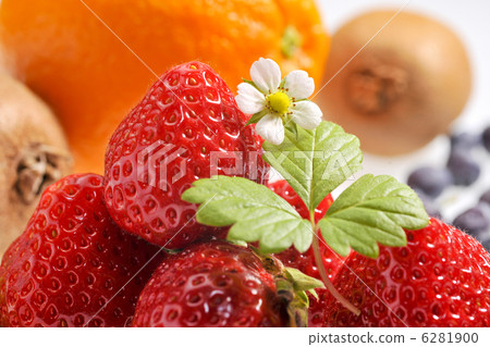 草莓 草莓 6281900