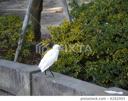 Heron 6282003