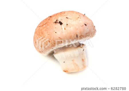 蘑菇 6282780