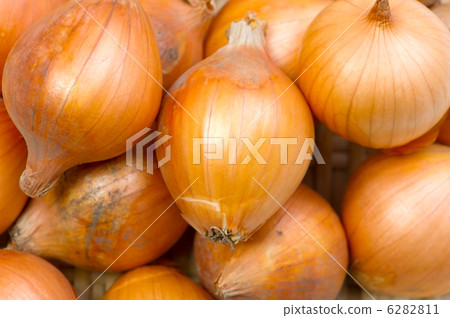 Pecoros Pecoros 6282811