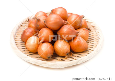 Pekorosu Pekorosu 6282812
