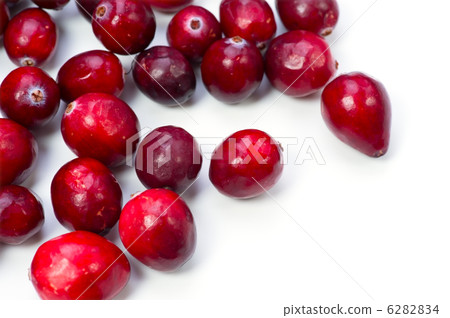 cranberry  6282834