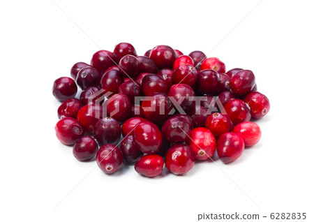 cranberry  6282835