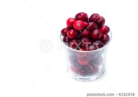 cranberry cranberry 6282836