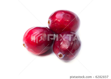 cranberry  6282837