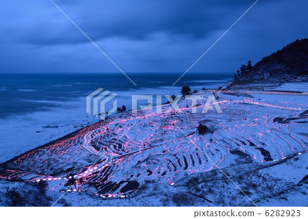 Evening scenery of white rice Senjida 6282923