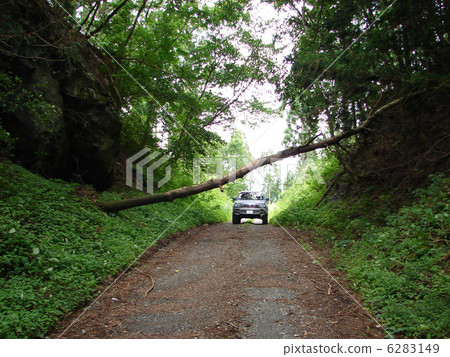 在愛媛縣久馬高原町山區的四輪驅動越野車(SUV)上行駛 在愛媛縣久馬高原町山區的四輪驅動越野車(SUV)上行駛 6283149