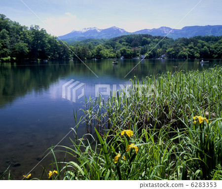 Late Matsubara in early summer 6283353