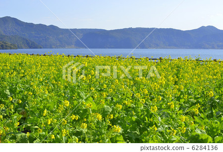 池田湖在春天 6284136