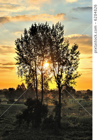 Watarase, Chaoyang shining trees 6284826
