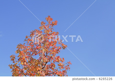 Autumnal weather Autumnal weather 6285226