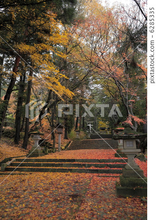 Autumn leaves entrance of Hie Shrine Shrine Autumn leaves entrance of Hie Shrine Shrine 6285335