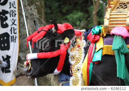 Mibu的花卉水稻 6286112