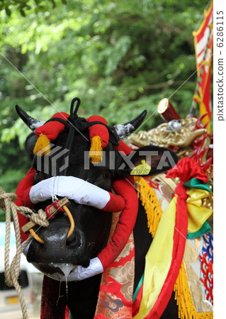 Mibu的花卉水稻 6286115