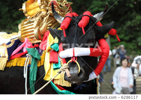 Mibu的花卉水稻 6286117