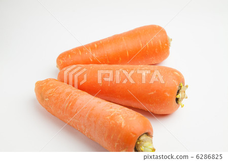 carrot  6286825