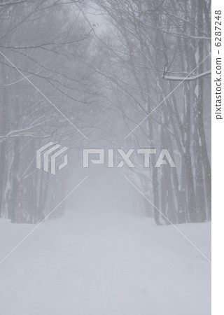 Snow-covered road  6287248